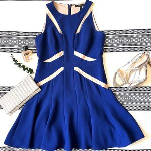 BCBGMaxazria cobalt dress size Medium